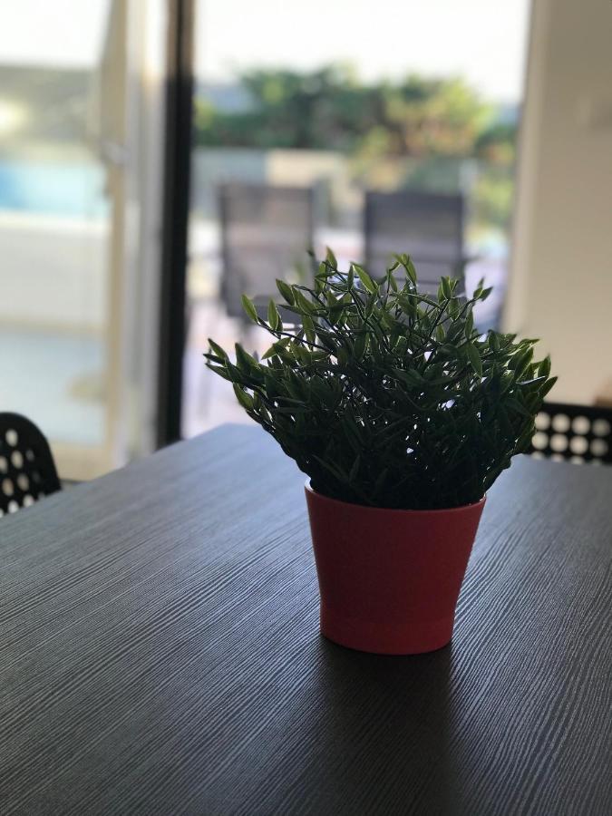 סטארה נובליה Apartments Haramincic M&B מראה חיצוני תמונה